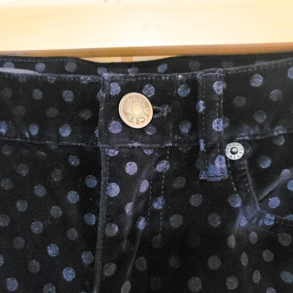 J Crew navy Toothpick swiss dot velvet skinny ankle 5 pocket pants size 26 - Picture 4 of 12